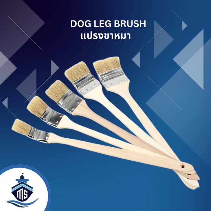 DOG LEG BRUSHES (แปรงขาหมา)