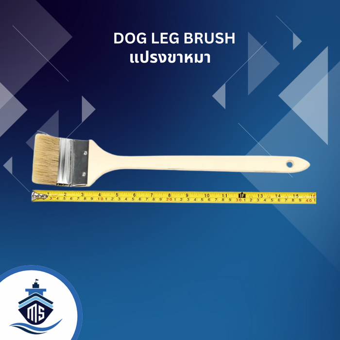 DOG LEG BRUSHES (แปรงขาหมา)