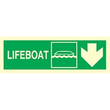 DIRECTION SIGN LIFEBOAT/ARROW DOWN 100x300 MM